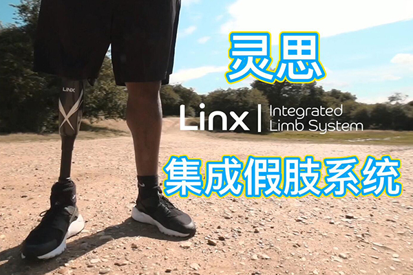 靈思全智能