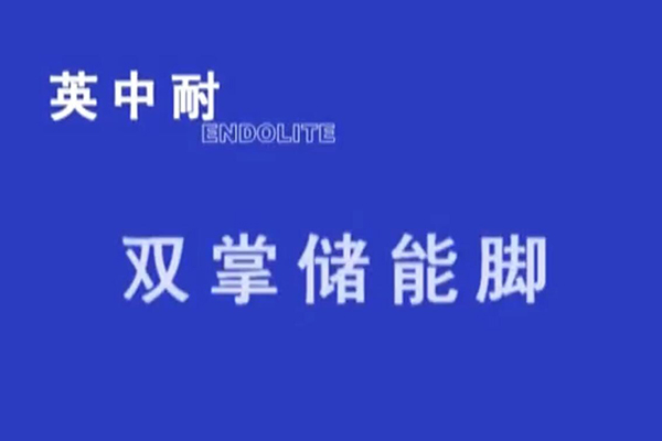 雙掌儲能腳